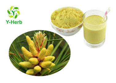 Food Grade Pine Flower Extract Organic Bulk Cell-Wall Broken Pine Pollen Powder