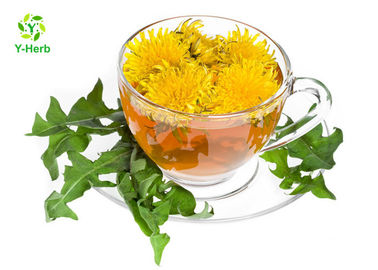 Water Soluble Herbal Extract Powder Taraxacum Extract Yellow Brown Color